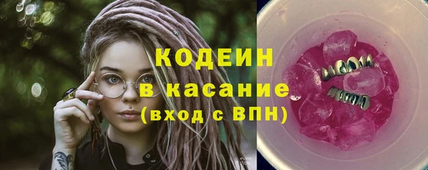 индика Инта
