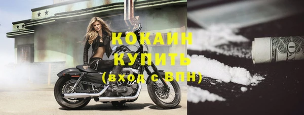 apvp Каменногорск