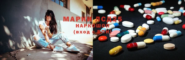 apvp Каменногорск