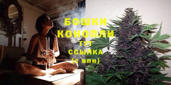 соль курить ск Каменка