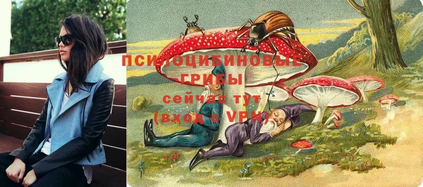 соль курить ск Каменка