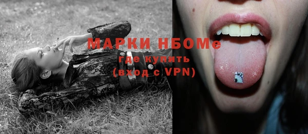 apvp Каменногорск
